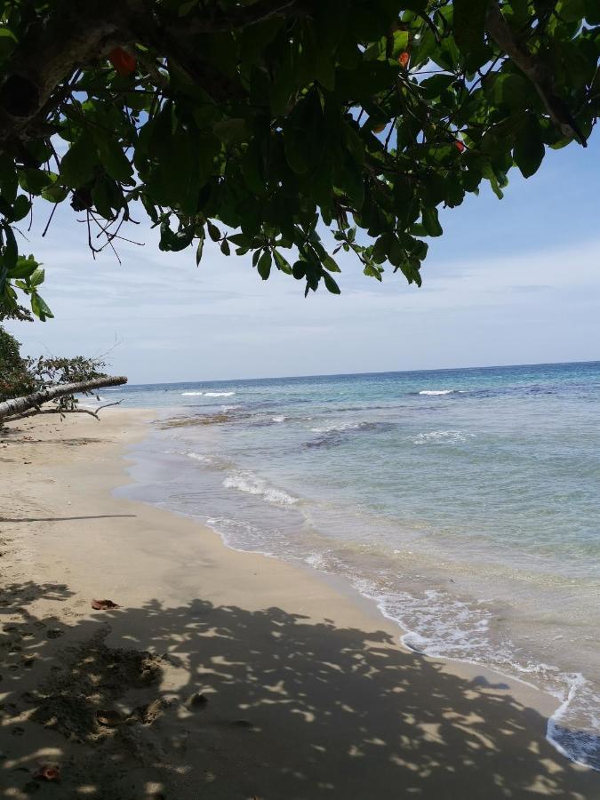 Hostal Cecilia Puerto Viejo de Talamanca Eksteriør billede