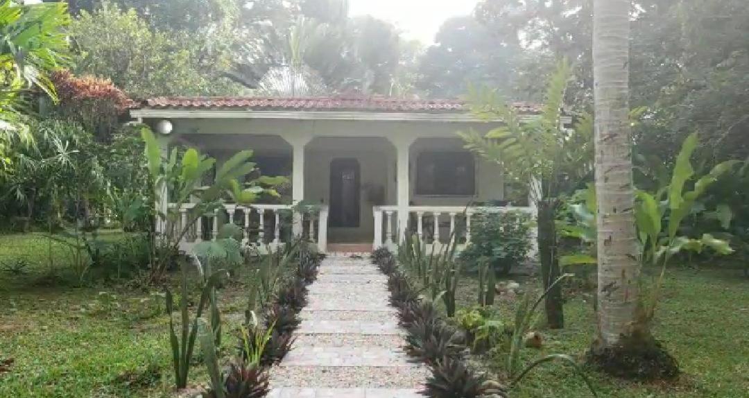 Hostal Cecilia Puerto Viejo de Talamanca Eksteriør billede