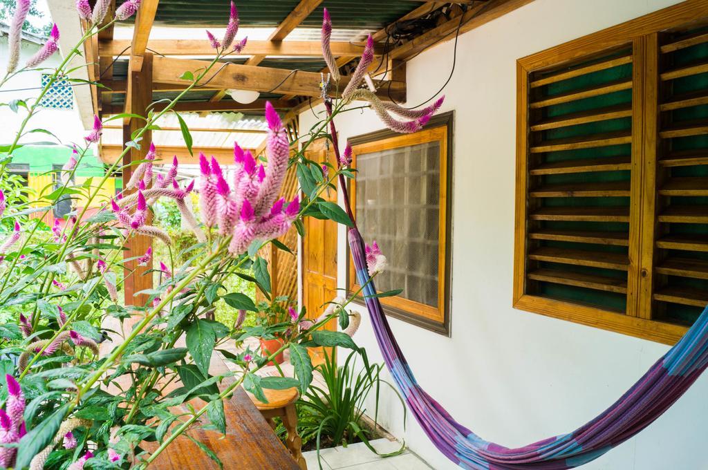 Hostal Cecilia Puerto Viejo de Talamanca Eksteriør billede