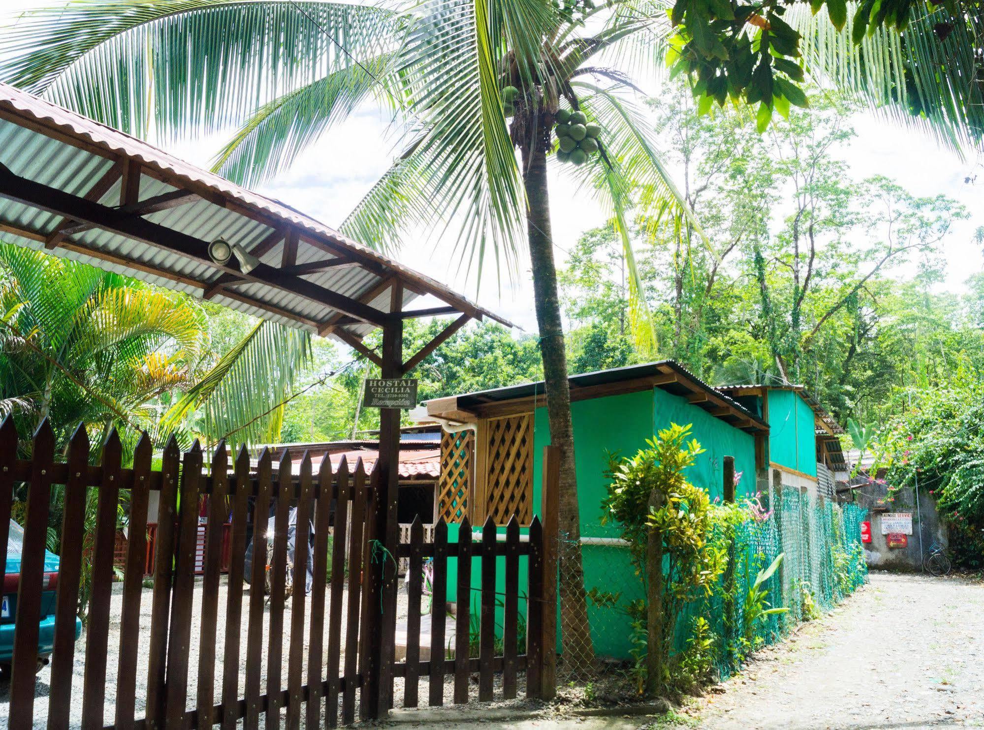Hostal Cecilia Puerto Viejo de Talamanca Eksteriør billede