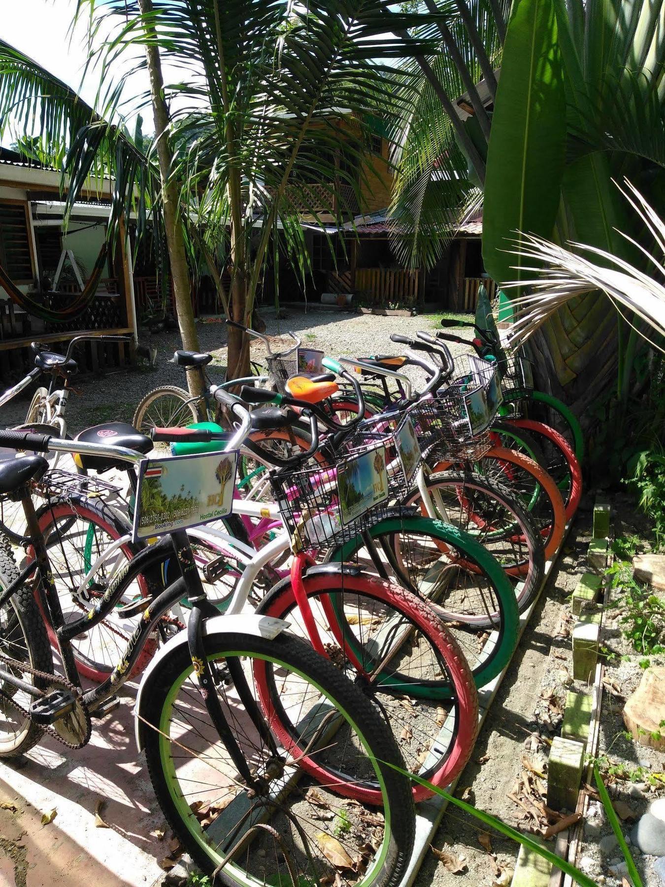 Hostal Cecilia Puerto Viejo de Talamanca Eksteriør billede