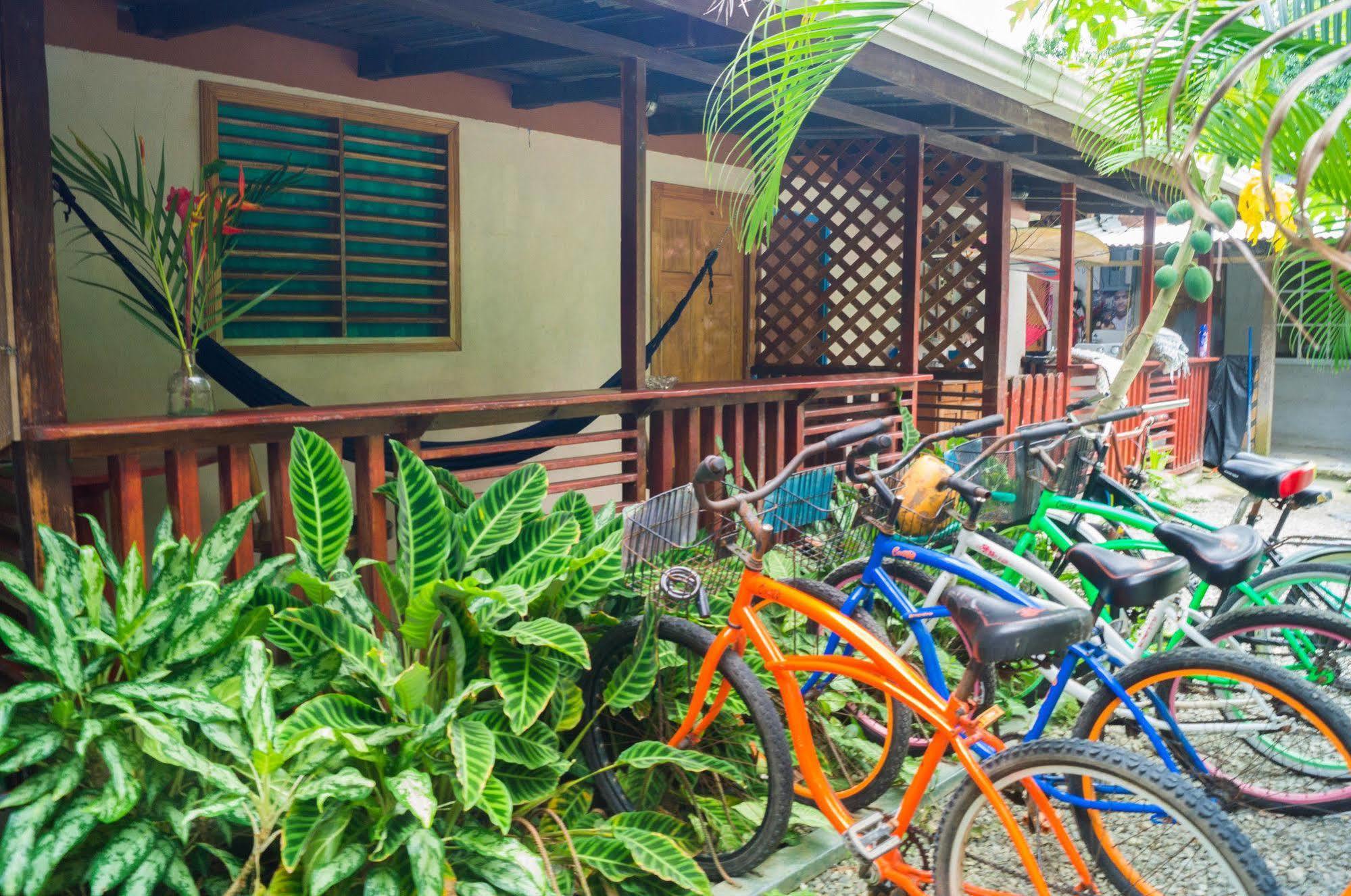 Hostal Cecilia Puerto Viejo de Talamanca Eksteriør billede